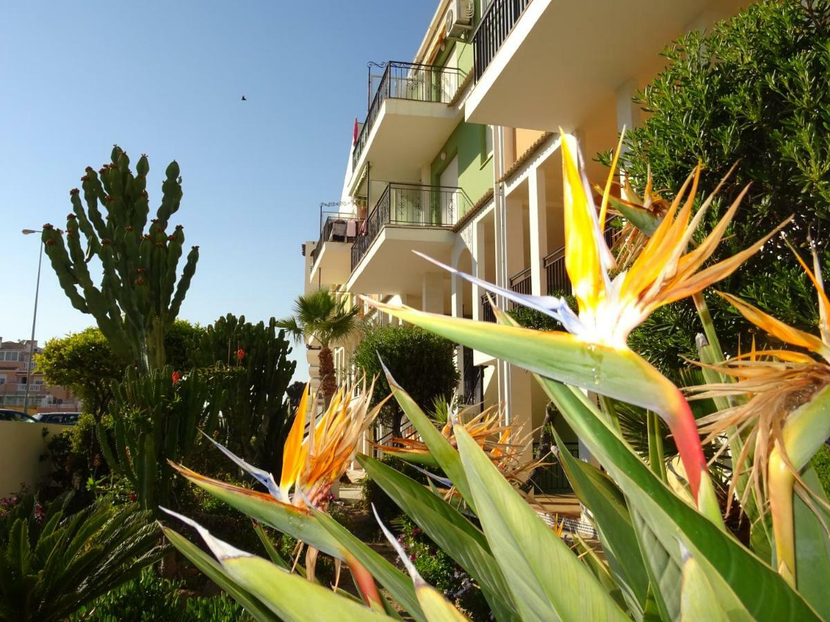 Brisas del Mar Azul Torrevieja Exterior foto